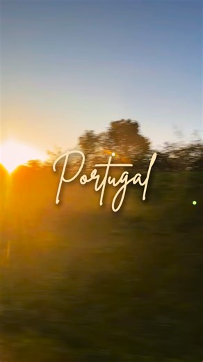 Today, our deacon class said goodbye to Portugal. Before heading to Spain, they visited Coimbra and Porto. | Mount St. Mary's Seminary