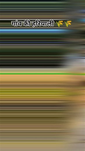 विपुल त्यागी बरला on Instagram: "#khetibadi🌱🌾 #farmarlife🤘🚜🌾🌾👑❤️ #trendingreels #instagram #jaishreeram"