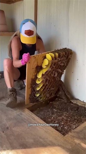 Woman Discovers Beehive Underground 😍❤️