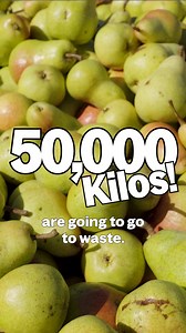 11 reactions · 6 comments | 50,000kg of pears are going to waste because they don't meet big supermarkets unrealistic beauty standards!  This perfectly, imperfect produce will be in Farmers Pick boxes along with more farm fresh tasty produce. Sign up today at farmerspick.com.au and help us reduce food waste! | Farmers Pick | Facebook