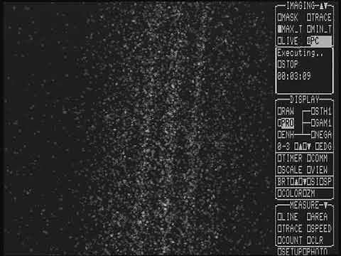 Single Photon Interference Double Slit