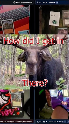 Playing with wizards and warlocks #cedh