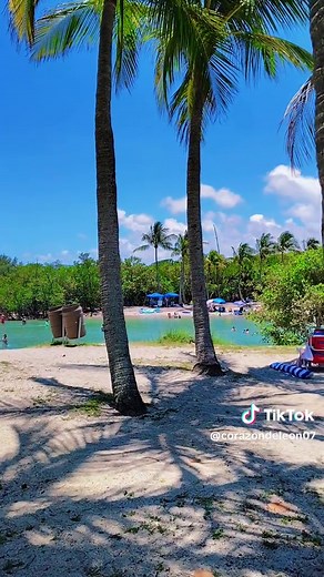 Mejor playa en Florida con palmas: Jupiter Inlet (guía rápida)