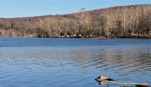 "Almost Heaven, West Virginia Blue Ridge Mountains, Shenandoah River Life is old there, older than the trees Younger than the mountains, growin' like a breeze..." Check out this video from WVLT Stewardship Director Adam Webster, who spent the day along the Shenandoah River monitoring an easement at Moulton Park in Jefferson County. #AlmostHeaven #WestVirginia #River #ConserveLandProtectWater #WeProtectSpecialPlaces | West Virginia Land Trust