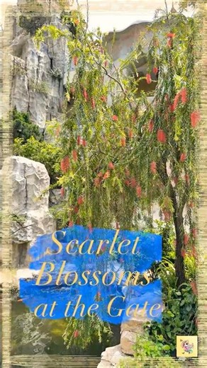 Scarlet Blossoms at the Gate