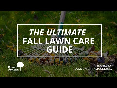 The Ultimate Fall Lawn Care Guide: Fertilizing & Seeding Expert Tips with Jim Connolly