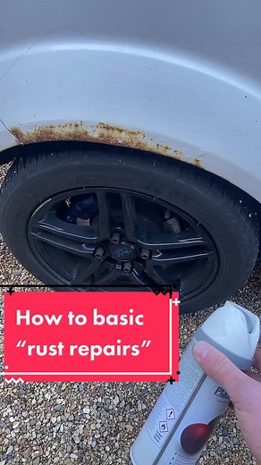 Baz the builder on TikTok