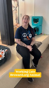 52 reactions · 18 shares | Got open space, a barn, or a big yard?...