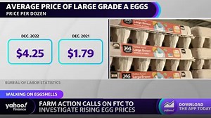 Inflation: Egg prices show ‘tacit type of collusion,’ Farm Action president says