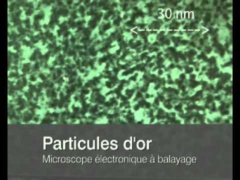 [Interview] Le microscope électronique à balayage (MEB)