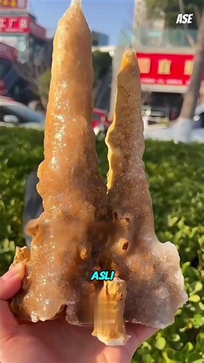 Siswa di China Setiap Hari Memberi Makan Batu Ini