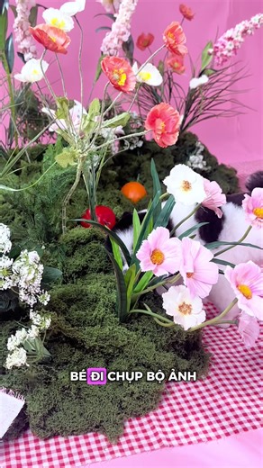 Em pé đi làm người mẫu cho chè ché tiếp 🤣 quá dễ thương @Paw-ty Studio mấy bạn hong chê Léng 💩 húi. Chời quơi ngại quá xin lũi mấy bạn nhìu 🤣 #xuhuong #bàchủléngléng #pomeranian #cutepomeranian #embéléng