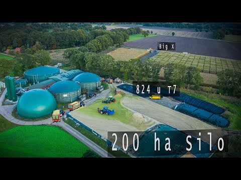 DOPPEL BGA Silohaufen - Extrem gute Kantenverdichtung! Silo im Ammerland | 200 ha | Fendt Vario 824