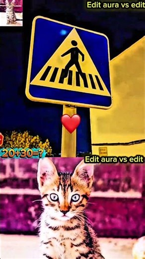 Zigzag style walk #edit #trending #new #viral #memes #dance