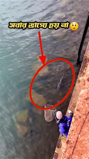 বিশাল বড় মাছ ধরতে #fishing