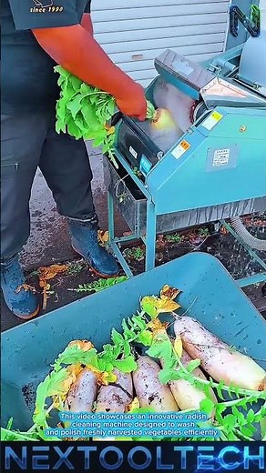 Radish Cleaning Machine For Fastest And Efficient Vegetable#Tooltech
