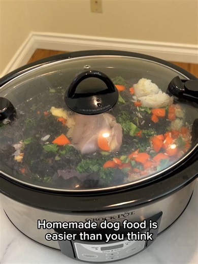 Cooking for your dog doesn’t have to be complicated—or time consuming. This cookbook makes homemade meals simple, fast, and nutritionally balanced, so you can feel good about what’s in their bowl ❤️🐶 Grab the Holistic Vet Blend Cookbook at our link in bio! #cookbook #homemadepetfood #dogfood #dogmoms #dognutrition #doghealth #doghealthcare