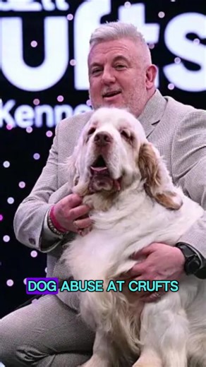 Accusations of dog abuse at crufts are nothing new and this year they seem to have almost leaned in and said ‘yeah we know and we just don’t care’ Respected british trainers like @Victoria Stilwell Positively are starting to speak out against crufts and asking us all to hold them to a higher standard. This years best in show was a Clumber Spaniel named Bruin, owned and trained by Lee Cox and both of these individuals have their problems Lee Cox was convicted of dog abuse in 2001 after letting an