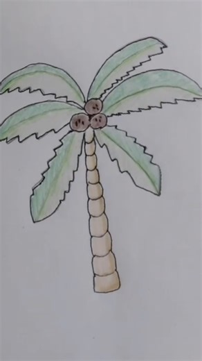 Drawing a palm tree #artandcraft #art #artdrawing #drawing #howtodraw #palmtree