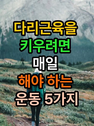 다리 운동으로 건강한 하체 만들기