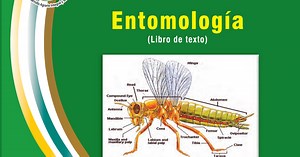 Entomología.pdf