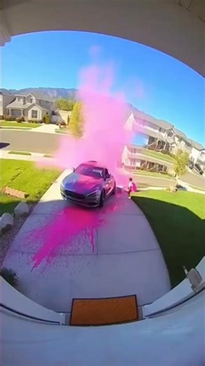 He tried to steal toaster.. Then Everything Exploded