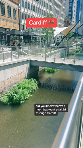 Day out in Cardiff . Foo fighters were playing 👍 #wales #cardiff #dayinthelife | Tom Jones Wales