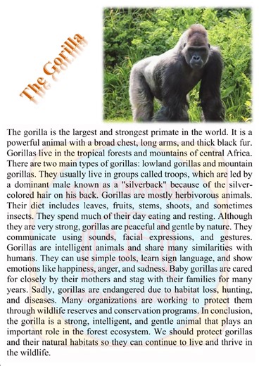 The Gorilla #reading #english #education #foryou #fyp