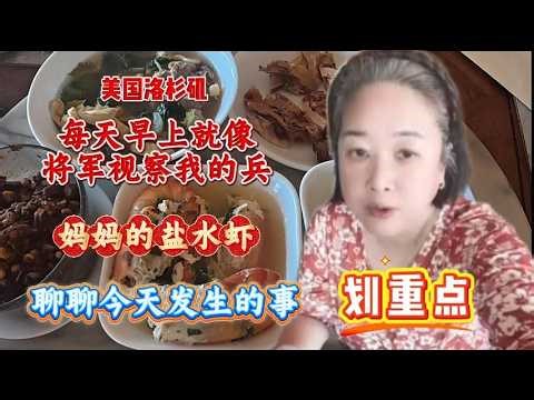 每天早上就像将军视察我的兵，开心啊，妈妈的盐水虾，要有活的河虾就更好吃了，聊聊今天发生的事 - 【lisavlog 游子记】2026 04 20