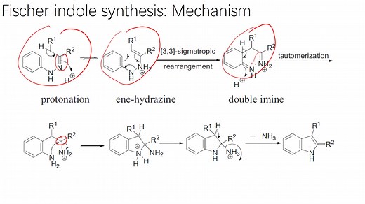 有机人名反应（104）：Fischer indole synthesis