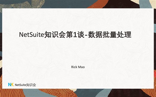 NetSuite知识会第1谈-数据批量处理