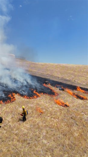 6.2K views · 123 reactions | Live-fire training is essential for...