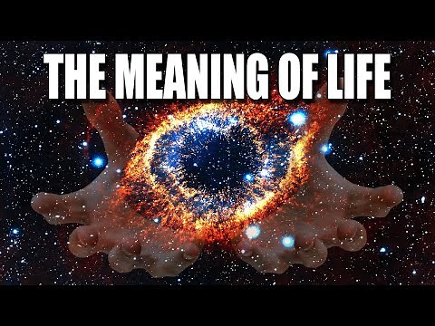The Meaning of Life