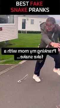 best fake snake pranks and funny scary moments compilation #snakeprank #funny #jumpscare #hilarious