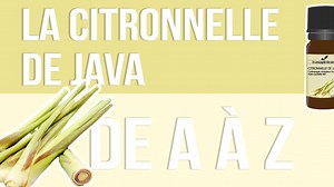 [LA CITRONNELLE DE JAVA DE A A Z] Originaire d'Indonésie, la Citronnelle de Java est la star des anti-moustiques. Dans certains pays, elle est même plantée devant les fenêtres des habitations pour repousser ces parasites volants.🤗 https://bit.ly/2vO7ZWM Mais qu'en est-il de ses différentes utilisations et de sa composition ? Plus d'informations en vidéo !🎥 | La Compagnie des Sens