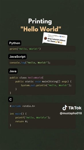 Printing "Hello World" with Python JavaScript Java and C #coding