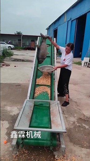 Reliable Folding Belt Conveyor for Continuous Production. #shorts