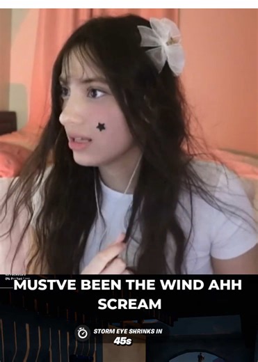 mustve been the wind 😭 #gaming #funny #viral