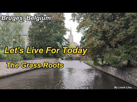 The Grass Roots - Let's Live For Today(Lyrics)