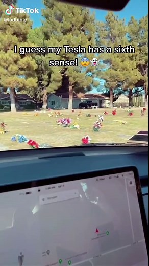 Tesla Cemetery Ghost Scares: Sixth Sense Detection! 👻