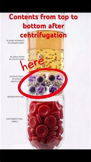 Blood Centrifugation Explained | PPP vs PRP vs Buffy Coat vs RBC Layers |Lab Medicine Basics