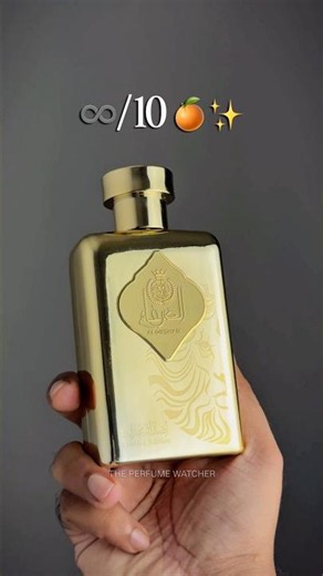 10/10 Budget Perfumes Under ₹2000? | Best Affordable Fragrances for Men 2026 #perfume #perfumelover