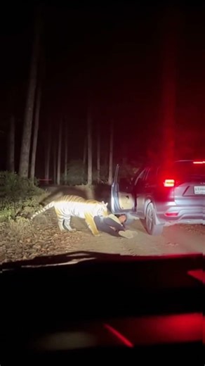 Dark Jungle Stop — Control Lost