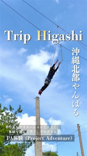 パイナップル日本一｜沖縄 東村｜公式 on Instagram: "プロジェクトアドベンチャー（PA体験） 高い場所で、足がすくむ。 「正直こわい」と思う瞬間もある。 それでも、一歩を踏み出す体験。 プロジェクトアドベンチャーは、 自然の中に設けられた高所・バランス・クライミングなどの設備を使い、挑戦そのものを体験として楽しむプログラムです。 今回体験したのは… ・スカイウォーク ・バンパーポール ・クライミングウォール フィールドには、これらを含めた多彩な体験プログラムが用意されていて、年齢やレベルに応じてチャレンジ内容を選ぶことができます。 観光としても、体験型プログラムとしてもおすすめです。 【体験場所・お問い合わせ】 東村村民の森つつじエコパーク @tsutsuji_ecopark.okinawa 沖縄県国頭郡東村字平良766-1 ☎ 0980-43-3300 #東村 #沖縄北部 #アドベンチャー #沖縄アクティビティ #プロジェクトアドベンチャー"