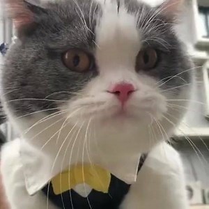 9.7K views · 141 reactions | More funny videos in our Telegram channel t.me/funnyvideo_channel | Прикол.ру | Facebook