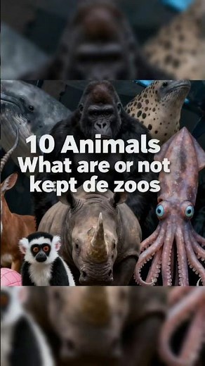 10 UNTAMABLE GIANTS: Why These Animals Are Never Kept In Zoos 🚫🌊