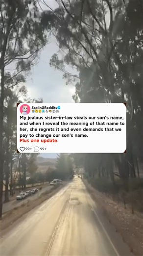My jealous sister-in-law steals our son's name, and when I reveal the meaning of that name to her, she regrets it and even demands that we pay to change our son's name..-#askreddit #redditposts #reddit #reddithistory #aita #reels | Bollywood Beauty