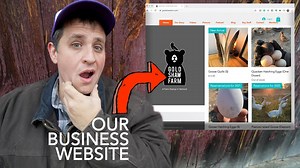How to create a business website for farm success