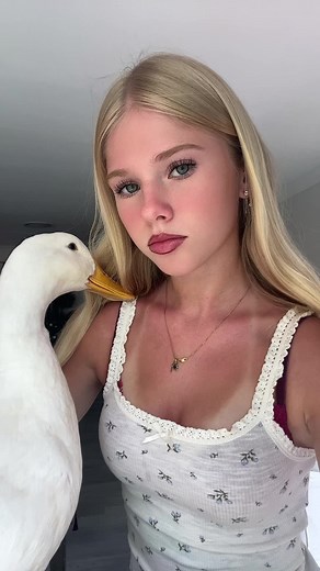 Charming and Cute Duck Videos to Brighten Your Day