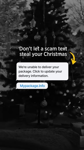 USAA | Don’t let scammers humbug your holidays. Always verify package notices with the retailer or shipper directly on their website or app. And... | Instagram